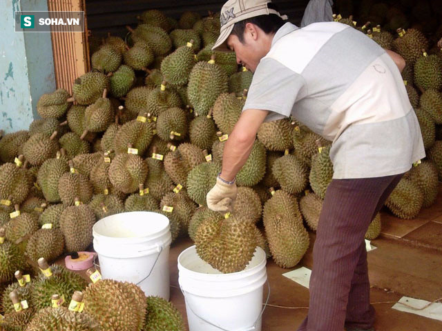 Rượu siêu rẻ giá 9.000; tẩy lòng thối thành lòng trắng tinh: Dân nhậu cẩn thận mất mạng - Ảnh 3.