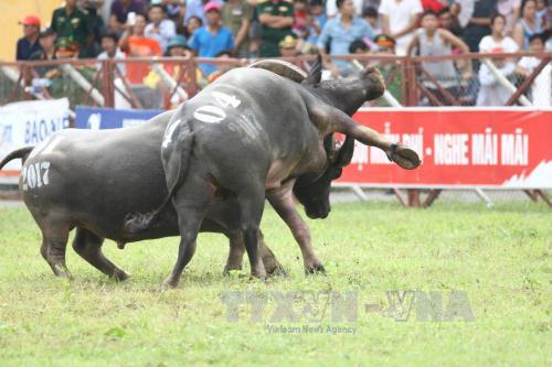 TIN TỐT LÀNH ngày 3/7: Những vụ việc được đặc biệt quan tâm ở Yên Bái được khui ra từ phản ứng dư luận - Ảnh 1.