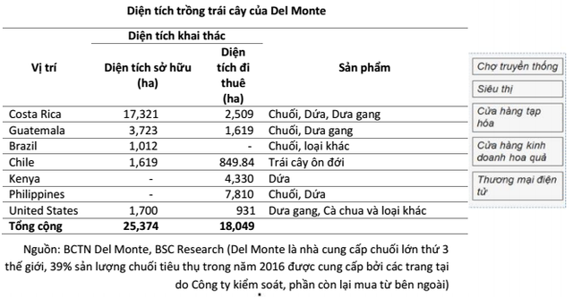 HAGL đi trồng trái cây: “In Fruit They Trusted” - Ảnh 1.