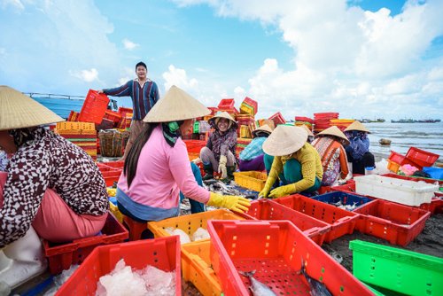 Về làng chài tỷ phú ở Vũng Tàu - Ảnh 1.