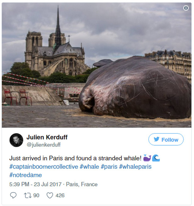 Cá voi khổng lồ phơi nắng giữa lòng Paris khiến người dân và du khách vô cùng kinh ngạc - Ảnh 1.