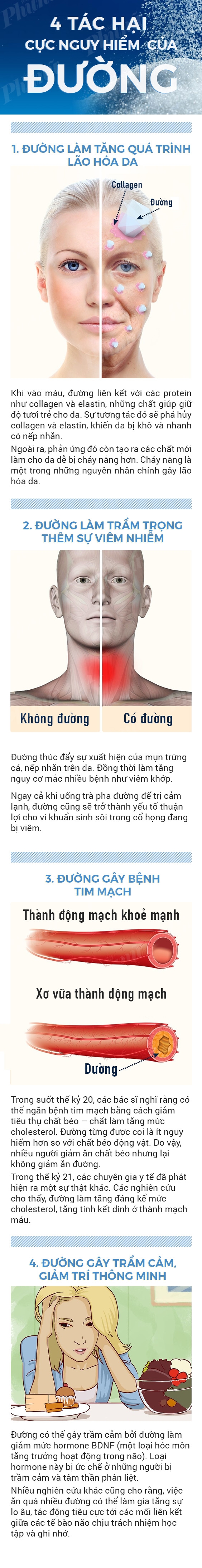 Ăn đường có tác hại gì? - Ảnh 1.