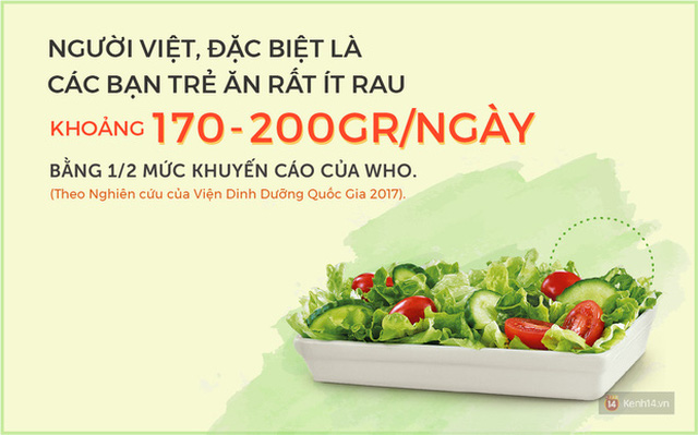 Giới trẻ Việt đang có thói quen thích ăn thịt - lười ăn rau cực kì hại mà không hề để ý - Ảnh 1.