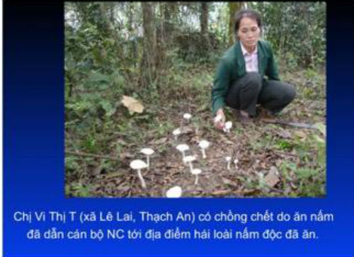 Vụ 10 người ngộ độc nấm ở Nghệ An: Cần làm gì khi ăn phải nấm độc? - Ảnh 1.