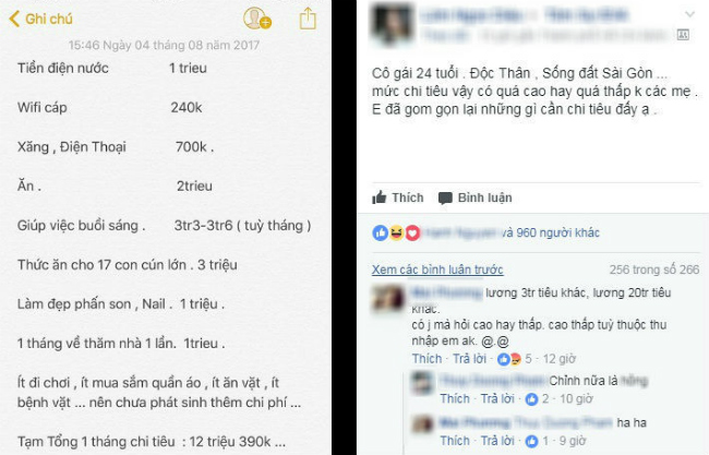 Bảng chi tiêu gây tranh cãi của cô gái độc thân 24 tuổi: Giúp việc buổi sáng hết hơn 3 triệu/tháng  - Ảnh 1.