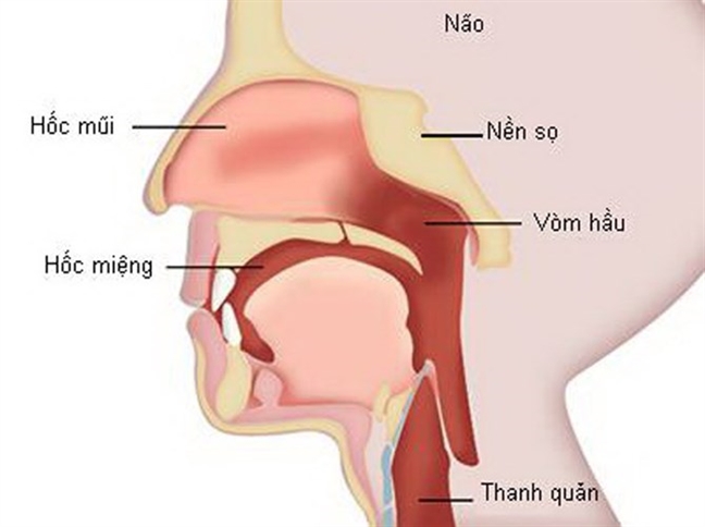 7 triệu chứng cảnh báo ung thư đầu cổ - Ảnh 1.