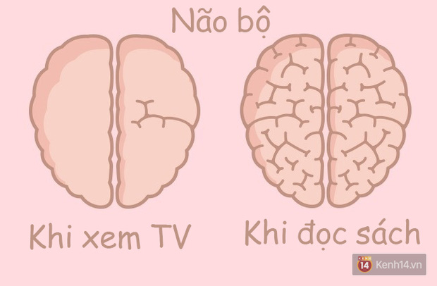 Hóa ra hoạt động thường ngày cũng khiến não bộ phình ra xẹp nhỏ lại như thế này! - Ảnh 1.