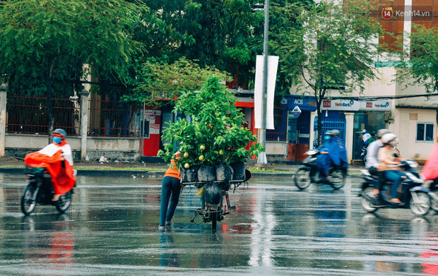 Trên đường phố Sài Gòn, có những người hàng chục năm chở theo một chợ xanh sau yên xe máy - Ảnh 2.