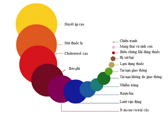 Những nguyên nhân chính gây tử vong ở người - Ảnh 2.