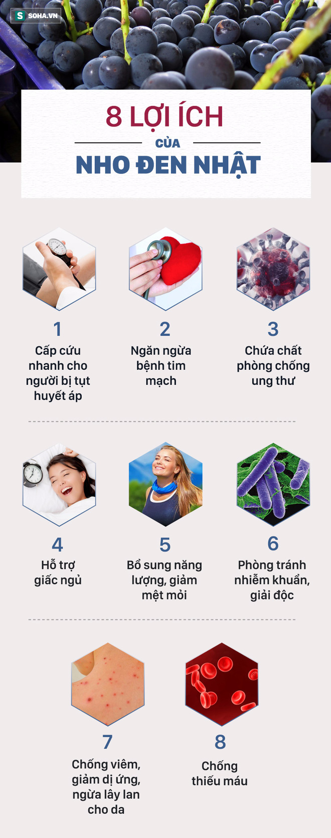 Loại quả nhập khẩu từ Nhật, đắt nhất Việt Nam: Báo Trung Quốc viết gì? - Ảnh 3.