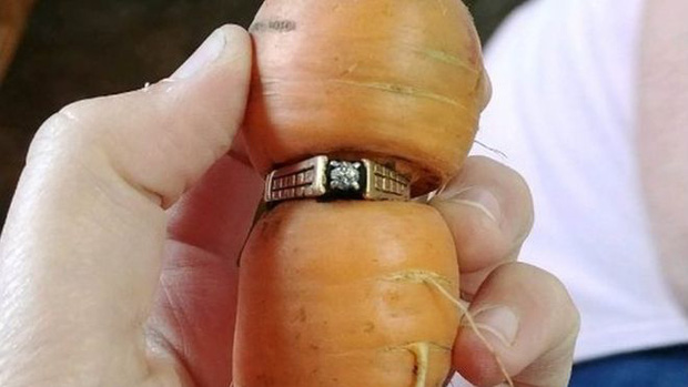 Đánh rơi chiếc nhẫn đính hôn bằng kim cương, 13 năm sau điều kì diệu đã đến với cụ bà ngoài 80 - Ảnh 2.