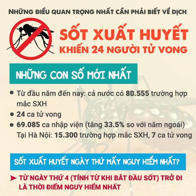 [Infographic] Những lưu ý quan trọng nhất về dịch sốt xuất huyết đang bùng phát mạnh - Ảnh 1.