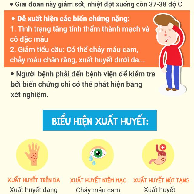 [Infographic] Những lưu ý quan trọng nhất về dịch sốt xuất huyết đang bùng phát mạnh - Ảnh 2.