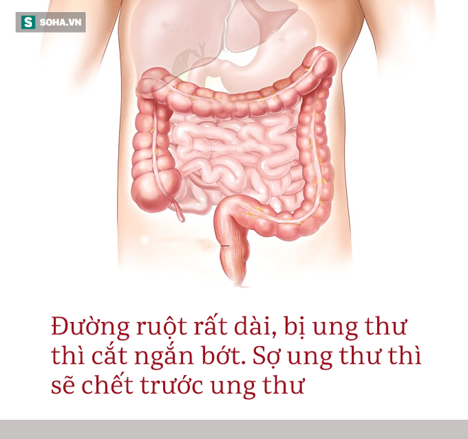 Danh y huyền thoại tiết lộ kinh nghiệm 2 lần thoát khỏi ung thư, làm nên điều phi thường - Ảnh 1.