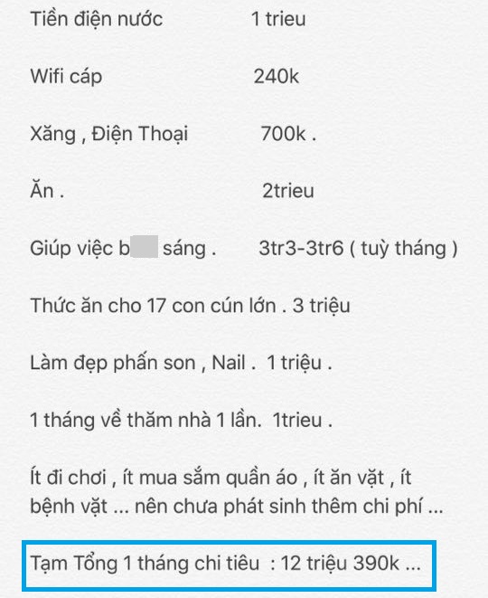 Bảng chi tiêu của cô gái độc thân mỗi tháng hết 12 triệu, riêng tiền thuê osin gần 4 triệu gây tranh cãi - Ảnh 1.