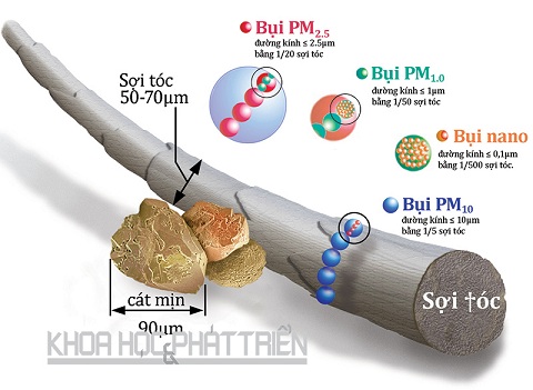 Không khí ở Việt Nam: Phát hiện bụi nano có thể “đầu độc” DNA - Ảnh 1.