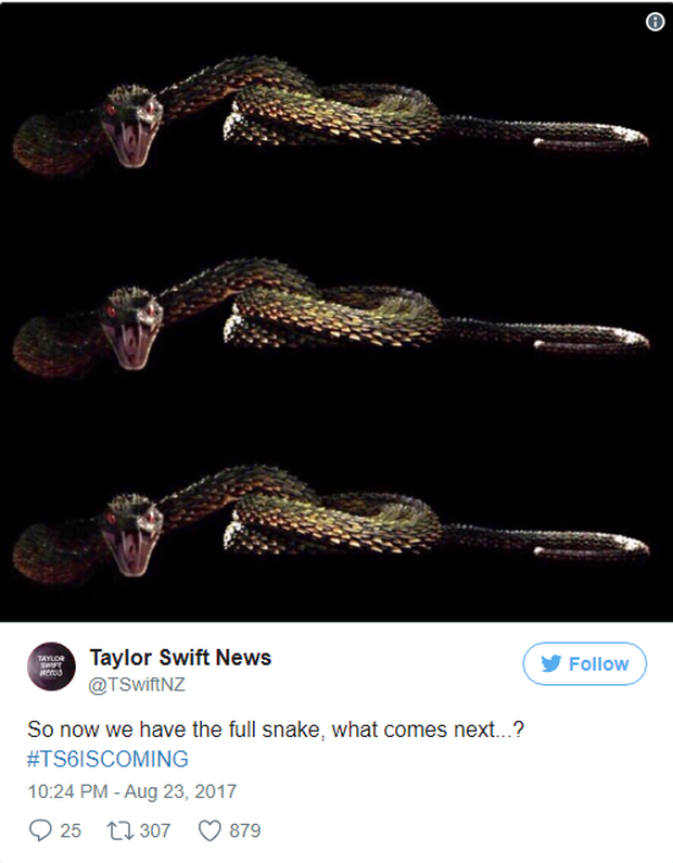 Hóa ra loài rắn trong bản hit mà Taylor Swift mới tung ra không hề tầm thường - Ảnh 1.