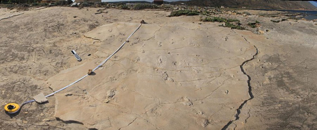 Phát hiện dấu chân người 5,7 triệu năm có nguy cơ viết lại lịch sử về nguồn gốc loài người - Ảnh 2.