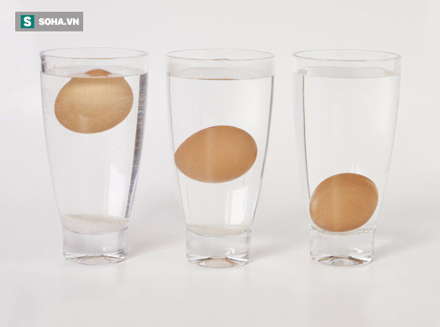 3 cách đơn giản nhận biết trứng còn tươi hay đã hỏng - Ảnh 1.