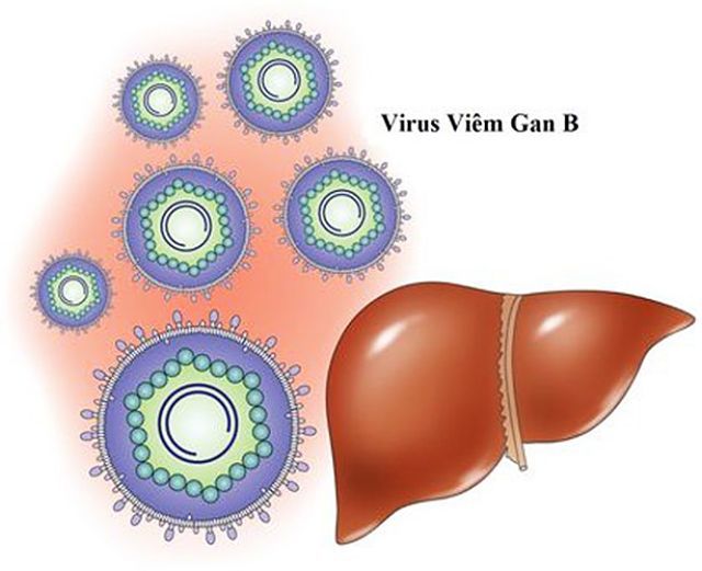 9 nguyên nhân gây tổn thương gan bạn nên biết rõ để mà tránh - Ảnh 2.