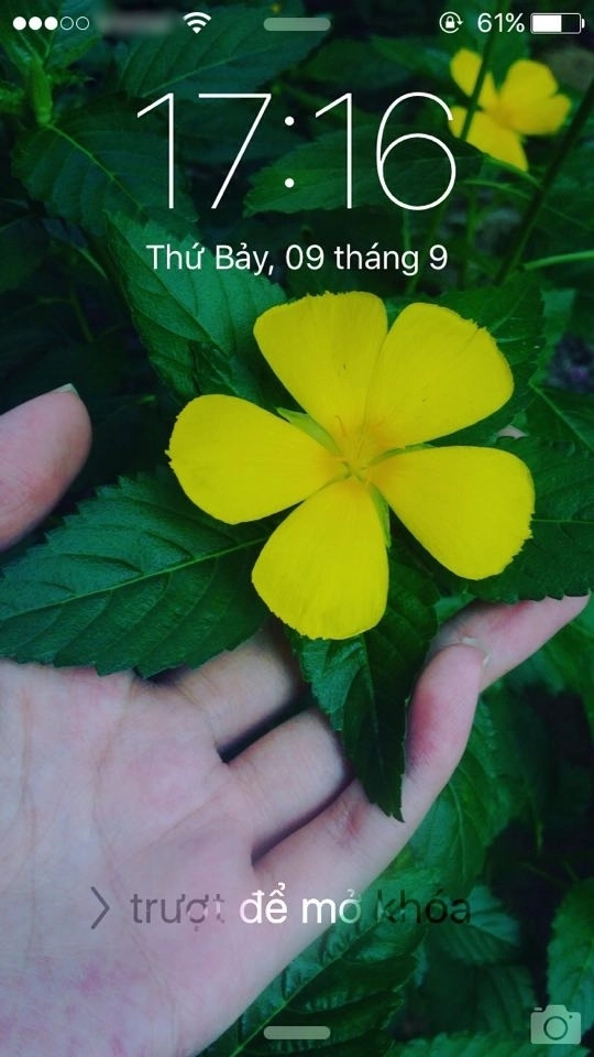 Dân mạng chế ảnh Face ID iPhone X trong điều kiện thực tế ở Việt Nam - Ảnh 3.