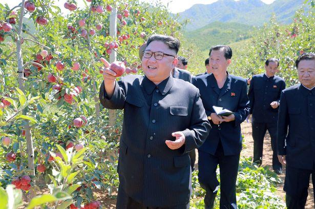 Ông Kim Jong-un thảnh thơi thăm vườn táo sau khi đáp trả lời đe dọa của ông Donald Trump - Ảnh 1.