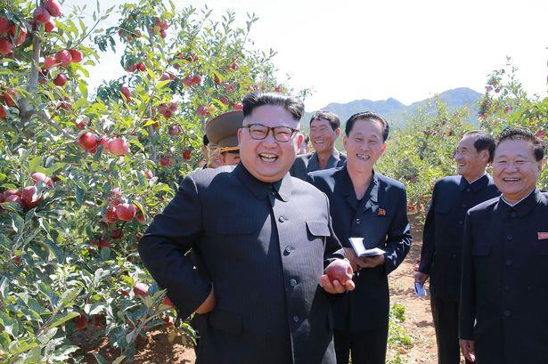 Ông Kim Jong-un thảnh thơi thăm vườn táo sau khi đáp trả lời đe dọa của ông Donald Trump - Ảnh 2.
