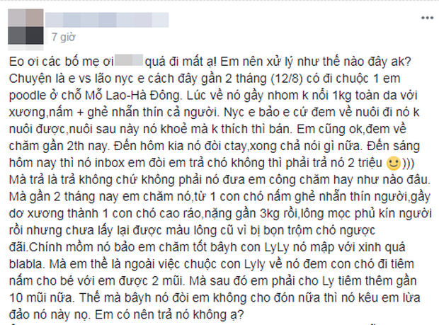 Cô gái tức giận tố người yêu chia tay đòi... trả chó hoặc đưa 2 triệu, chàng trai nói gì? - Ảnh 1.