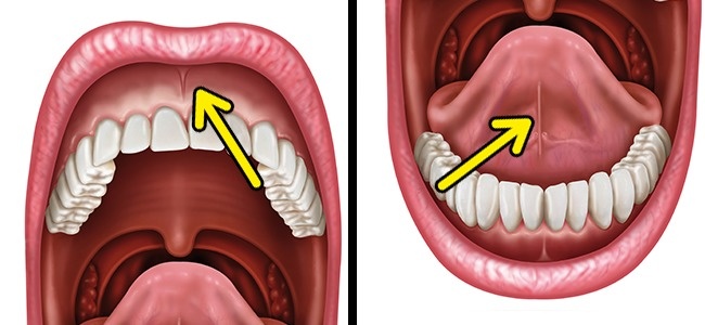 Khám phá 7 vị trí tối mật không thể thiếu trên cơ thể, số 4 giúp bạn hấp dẫn nhất! - Ảnh 5.