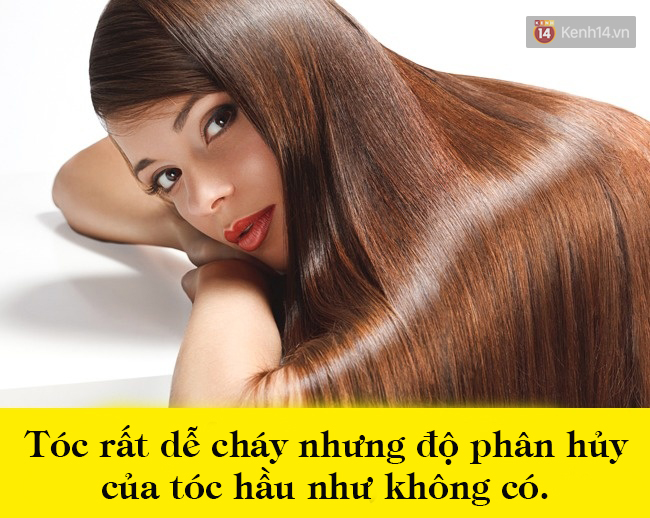 10 sự thật kinh ngạc về cơ thể mà 99% bạn không hề hay biết - Ảnh 3.