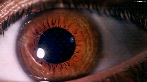 Đây là lý do mắt nâu là màu mắt sở hữu tính cách đáng quý nhất thế giới - Ảnh 1.