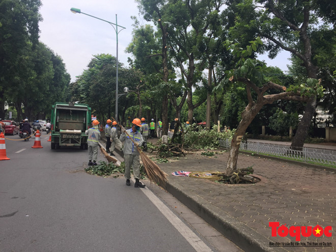 Hà Nội: Hàng cây đẹp nhất trên đường Kim Mã bắt đầu bị chặt hạ - Ảnh 2.