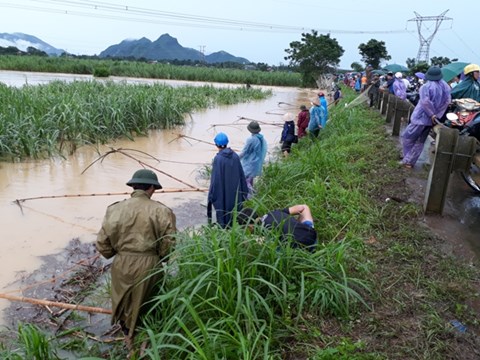 Video: Sau mưa lớn người dân Thanh Hóa kéo nhau đi bắt cá ven đường Hồ Chí Minh - Ảnh 1.