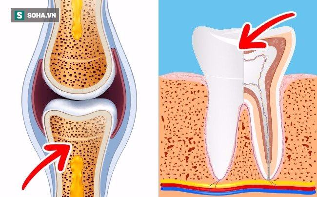 Ăn hai quả trứng mỗi ngày bạn sẽ nhận được những lợi ích gì? - Ảnh 3.