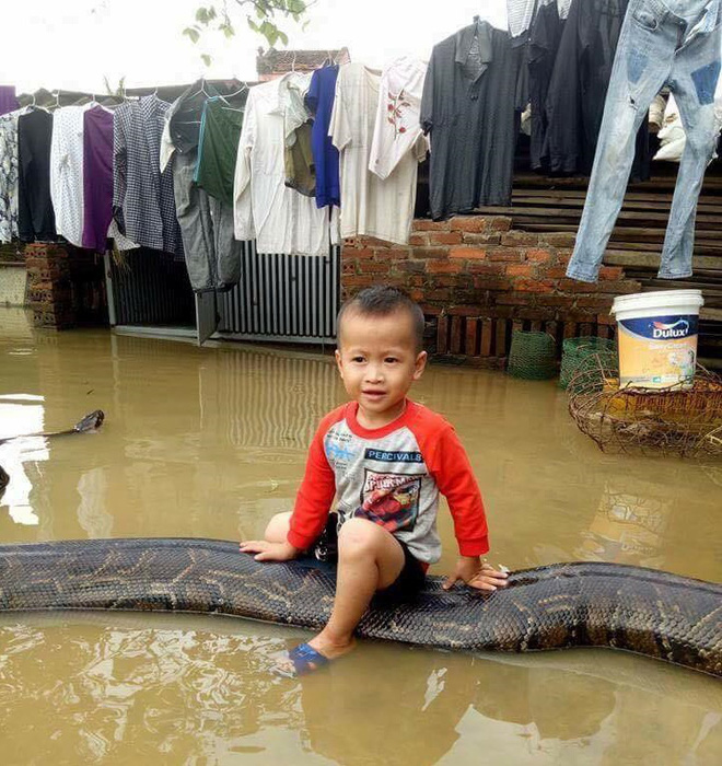 Người đàn ông mang rắn đi nhậu khiến khách hàng vừa sợ vừa tò mò - Ảnh 5.