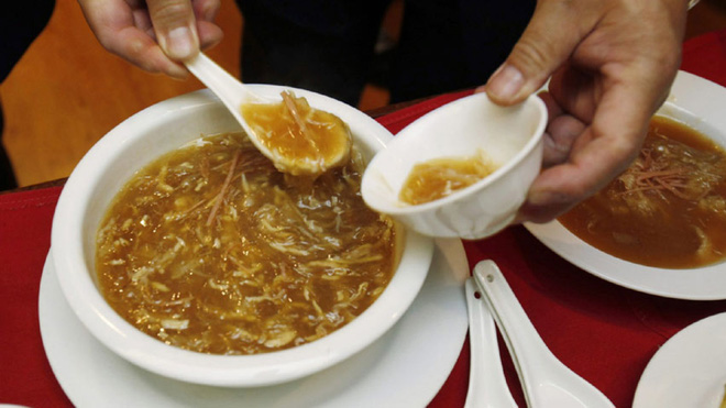 Món súp đắt nhất hành tinh nấu từ tử thần của biển cả, được tôn vinh là một trong tứ đại món ngon Trung Hoa - Ảnh 1.