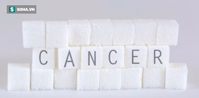 Tin không vui với người thích ăn ngọt: Đường có thể thức tỉnh tế bào ung thư - Ảnh 1.
