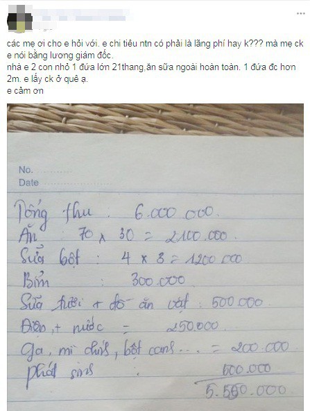  Tổng thu cả tháng 6 triệu, mẹ trẻ nhịn miệng nuôi 2 con bằng bỉm sữa xịn còn bị chê hoang phí - Ảnh 1.