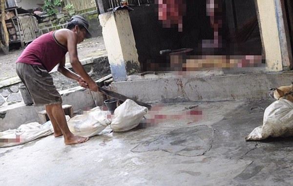 Khung cảnh man rợ trong khu trại thịt chó như địa ngục trần gian tại Indonesia - Ảnh 2.