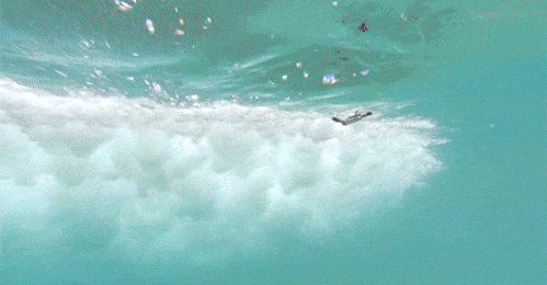 Những hình ảnh hãi hùng đại dương cất giấu khiến bạn vừa run sợ vừa tò mò - Ảnh 2.