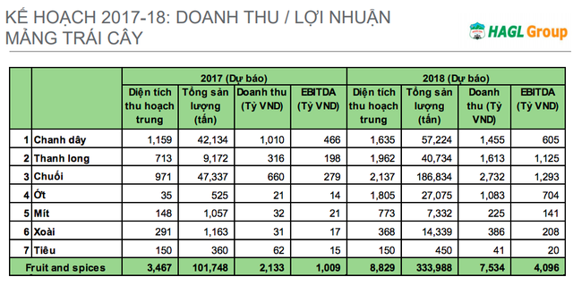  Bên cạnh cây ăn trái, HAGL bất ngờ đặt mục tiêu thu về nghìn tỷ từ ớt trong năm 2018  - Ảnh 2.