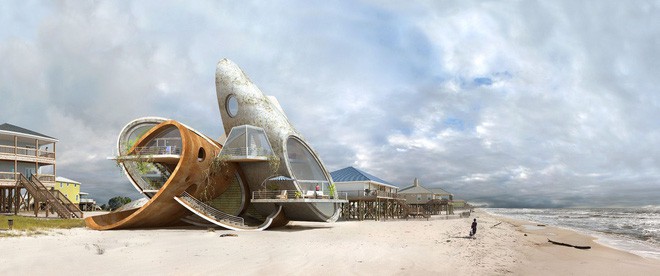 Lấy cảm hứng từ thảm họa thiên nhiên, vị kiến trúc sư này đã tạo ra những ngôi nhà ven biển có thiết kế vô cùng độc đáo - Ảnh 2.