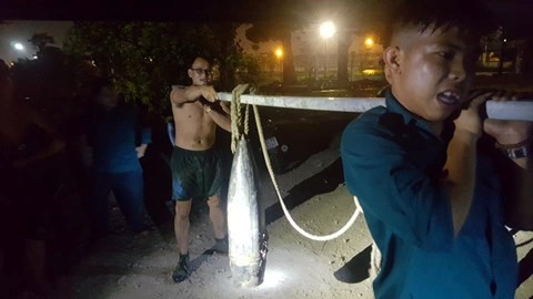 Đồng Nai: Đánh cá dưới chân cầu, người dân phát hiện 2 quả đạn pháo - Ảnh 1.