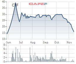  Khách mua ô tô bình tĩnh chờ thuế, cổ phiếu CTF bay nửa giá chỉ trong 1 tháng  - Ảnh 1.
