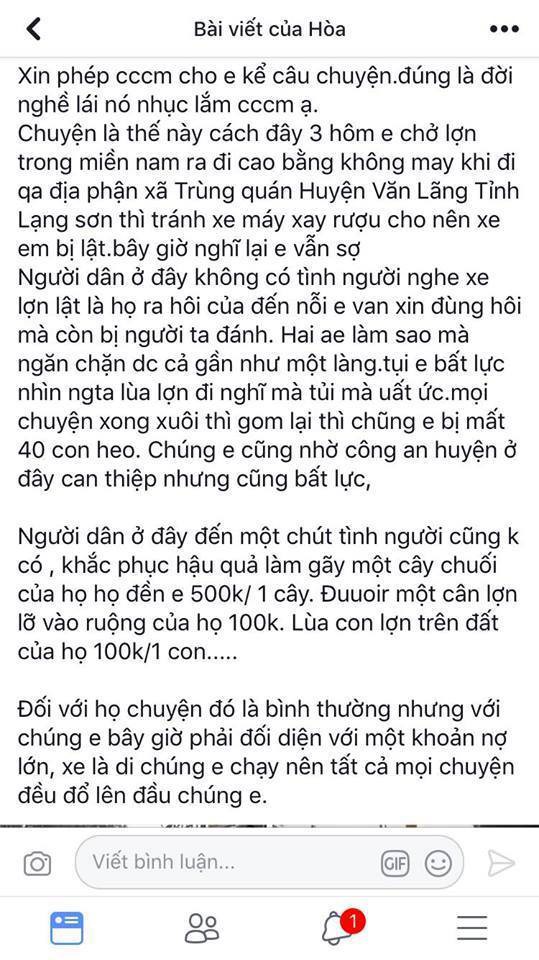 Thực hư chuyện dân đổ xô hôi của từ xe chở lợn bị lật - Ảnh 1.