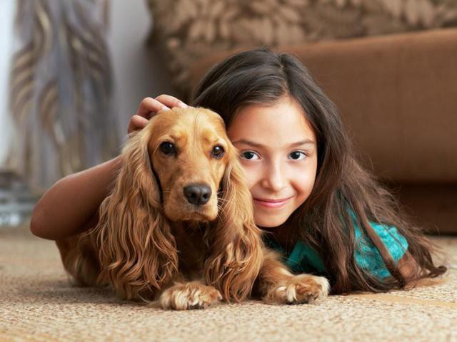Nghiên cứu quy mô 3 triệu người đã xác nhận một lợi ích tuyệt vời khi nuôi chó - Ảnh 2.