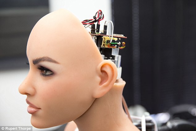 Nhu cầu sử dụng sexbots bùng nổ, nhà sản xuất phải vật lộn để đáp ứng - Ảnh 3.