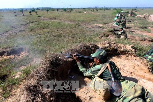 Sư đoàn 9 (Quân đoàn 4) diễn tập bắn đạn thật - Ảnh 10.