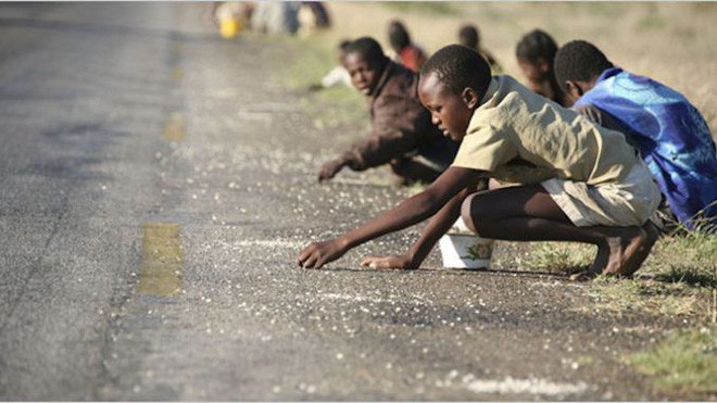 Chùm ảnh: Người dân Zimbabwe vật lộn với đói nghèo cùng cực - Ảnh 1.