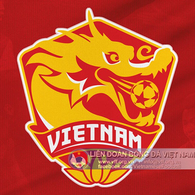 Huy hiệu không thay quốc kỳ trên áo đấu tuyển Việt Nam - Ảnh 1.